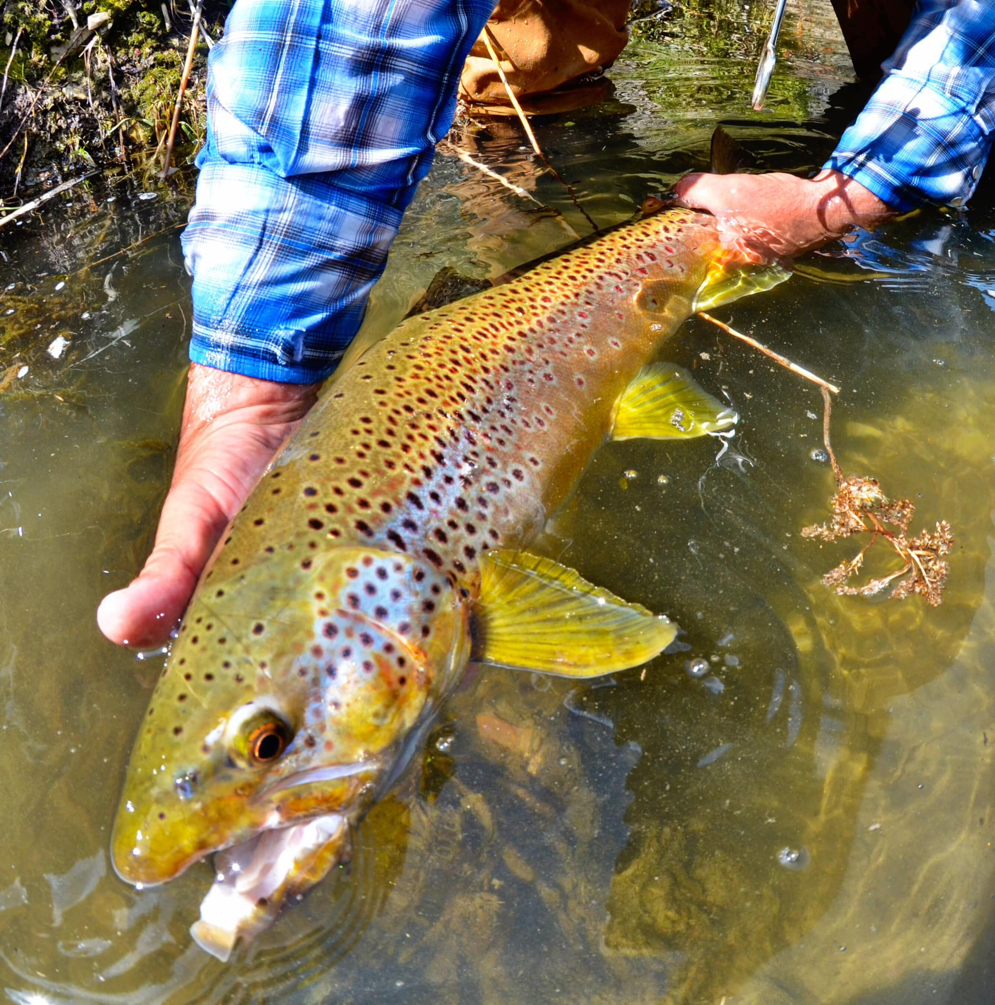 Guided Fishing Tour